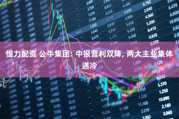 恒力配资 公牛集团: 中报营利双降, 两大主业集体遇冷
