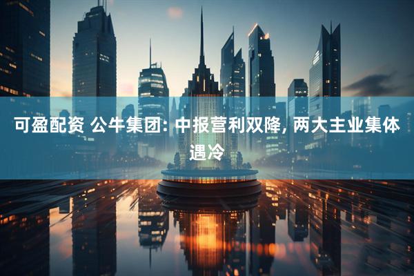 可盈配资 公牛集团: 中报营利双降, 两大主业集体遇冷