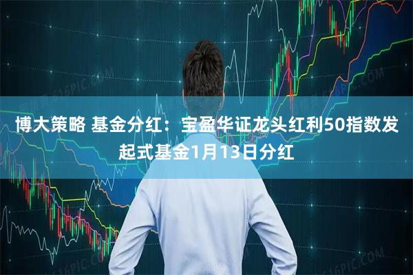 博大策略 基金分红：宝盈华证龙头红利50指数发起式基金1月13日分红
