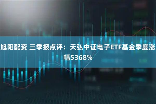 旭阳配资 三季报点评：天弘中证电子ETF基金季度涨幅5368%